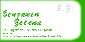 benjamin zelena business card